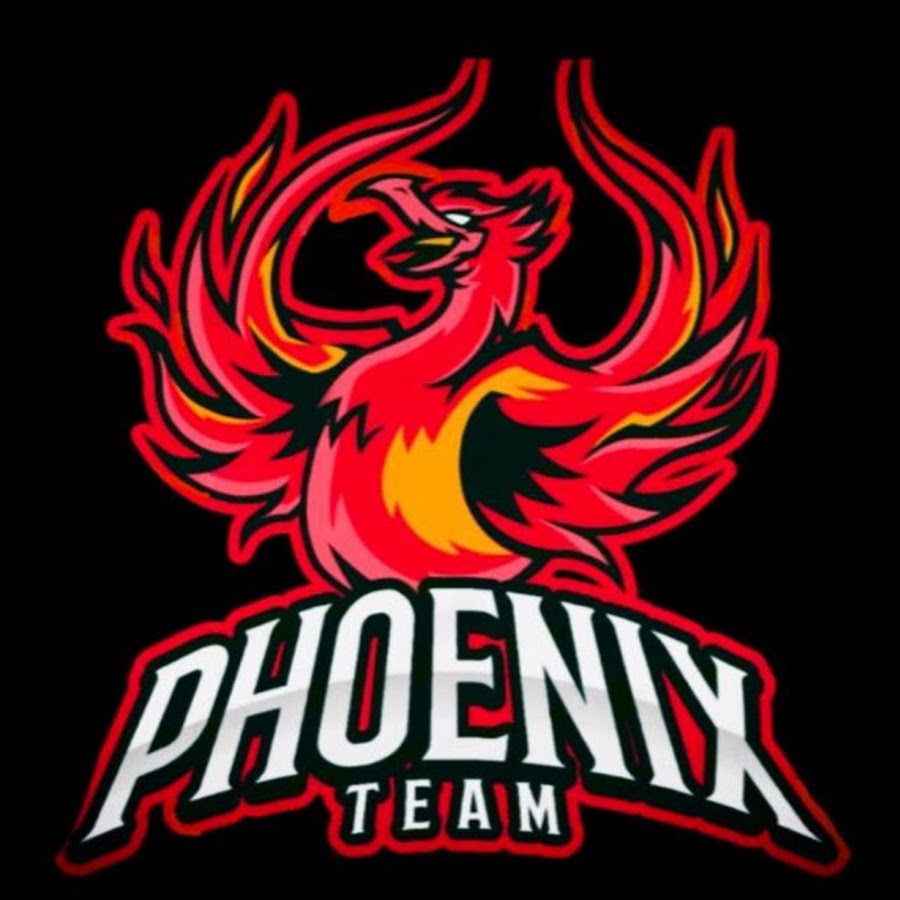 Phoenix Team YouTube
