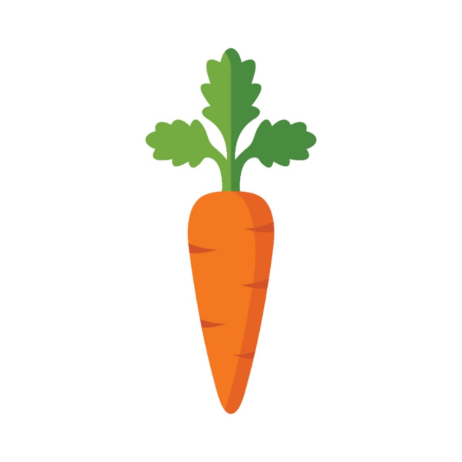 Морковная грядка vector