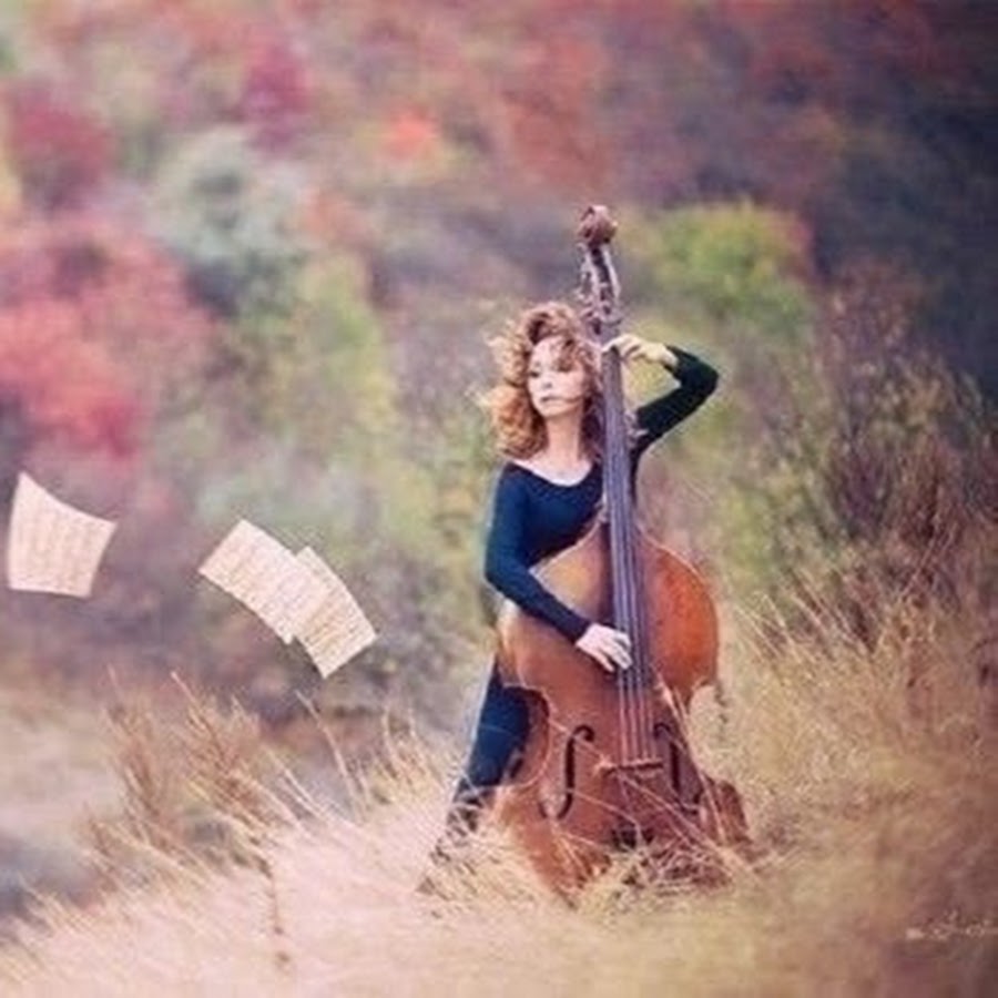 Люди как музыкальные инструменты. Арфа и арфист. Скрипка линдси стирлинг. Люди как музыкальные инструменты. Арфа музыкальный инструмент.