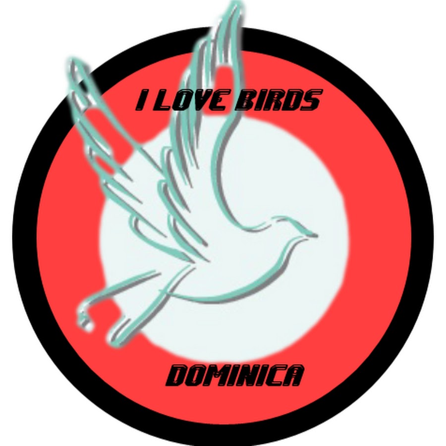 I LOVE BIRDS DOMINICa 