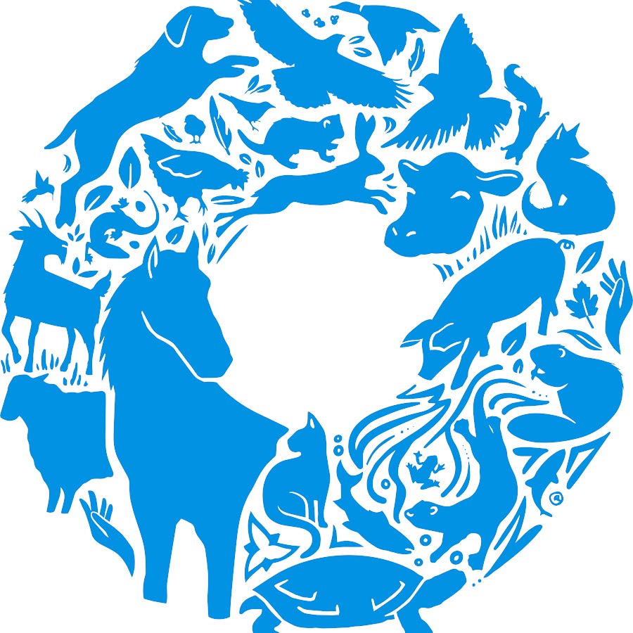 Ontario Veterinary Medical Association YouTube