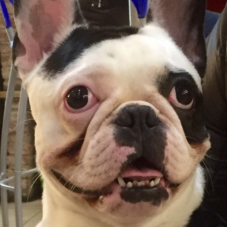 Useless 1234 Subscriber Challenge But I Am Italian YouTube