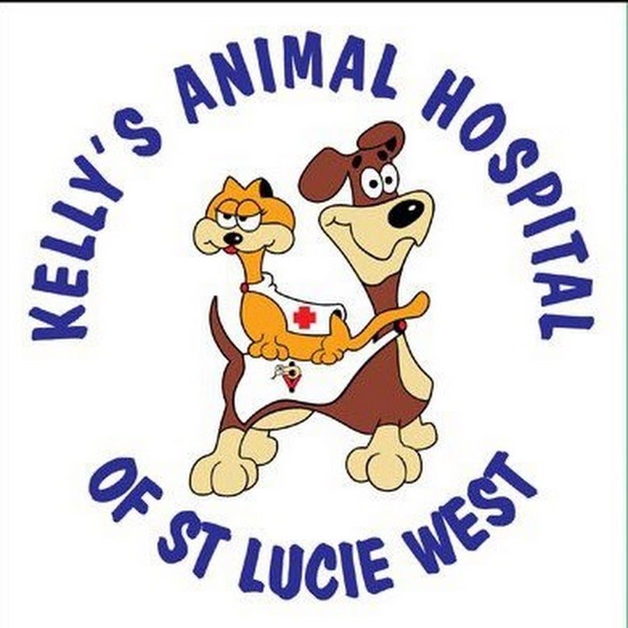 Kelly's Animal Hospital - YouTube