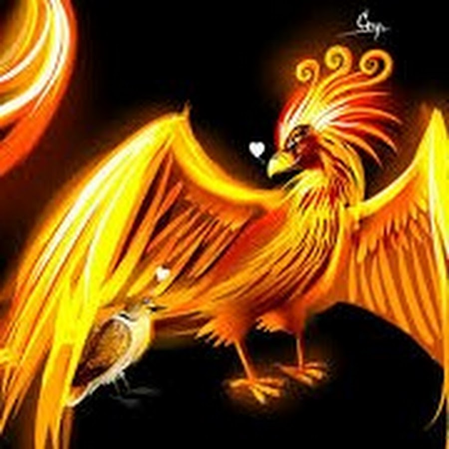 Милый Феникс