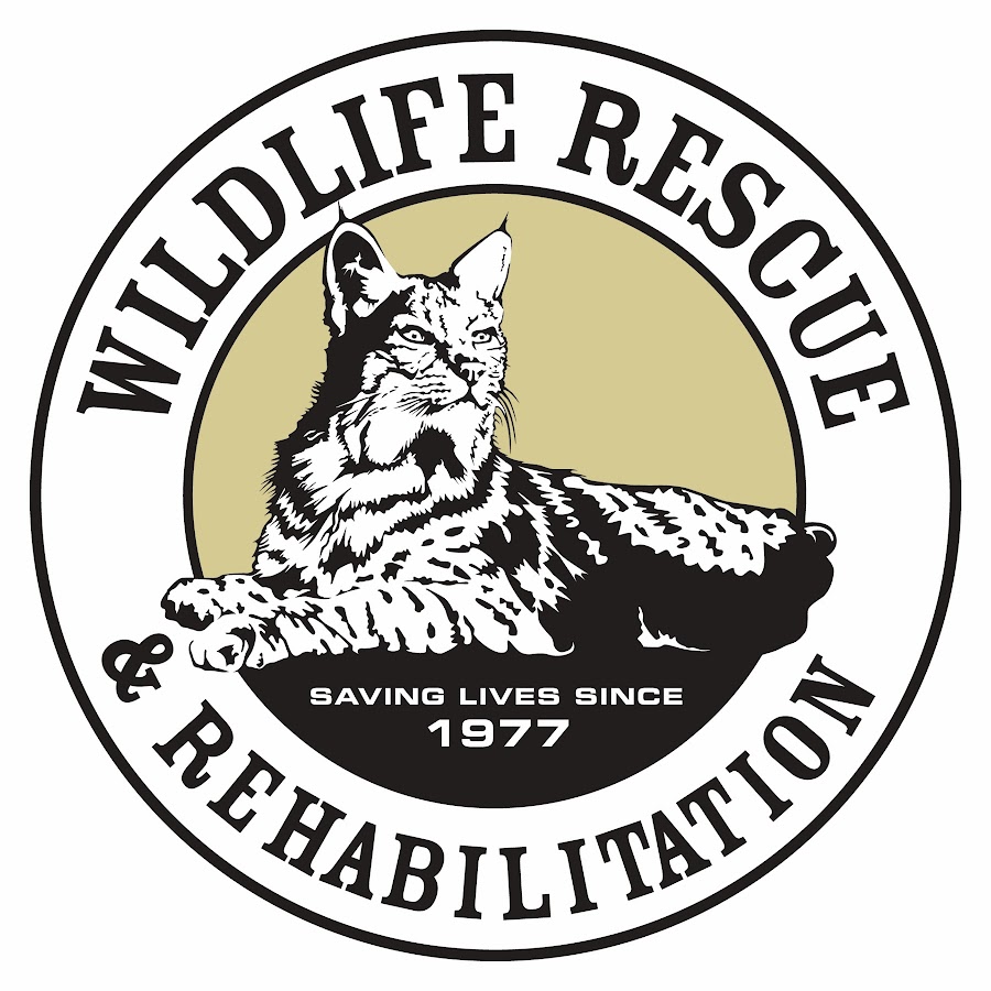 Wildlife Rescue & Rehabilitation, Inc. 