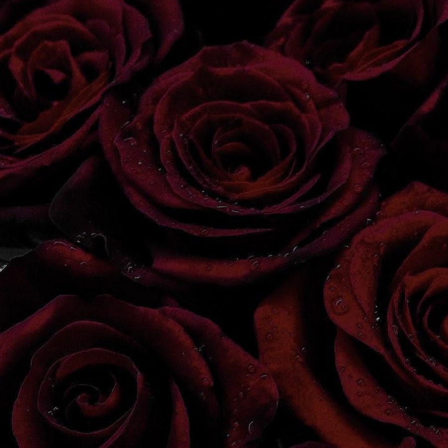 Blue_Kawaii ‡• - YouTube