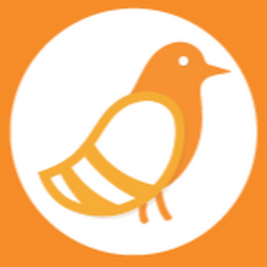 Pigeonhole Live YouTube