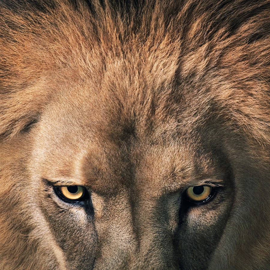 Emmanuel Insurance &amp; Emmanuel Risk Solutions YouTube