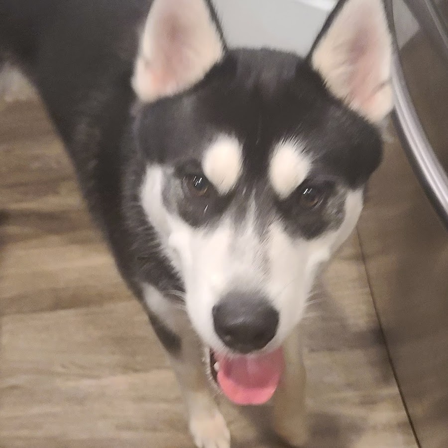 Gamer gurl - YouTube