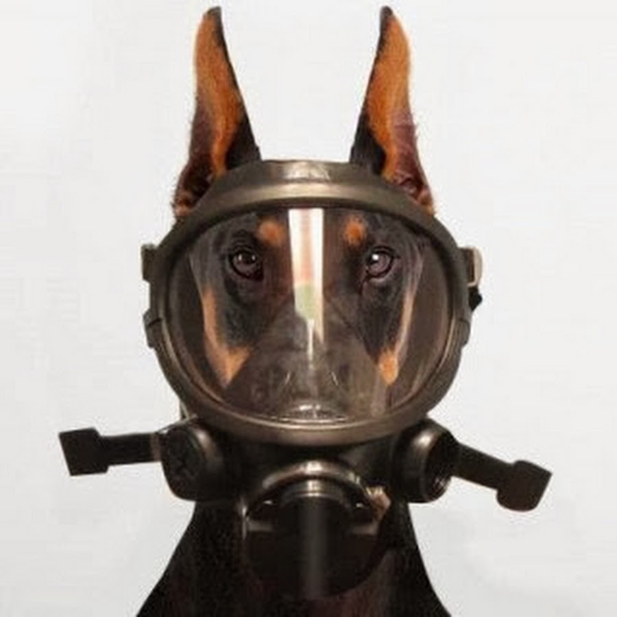 AATXAJwtJojeX4T9caDrxLYLRmhWdIv1_yH1wPxZ