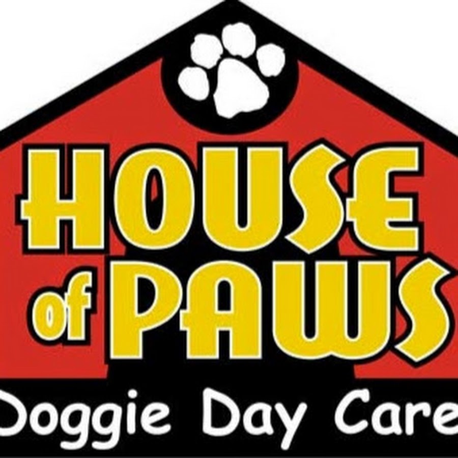 House of Paws YouTube