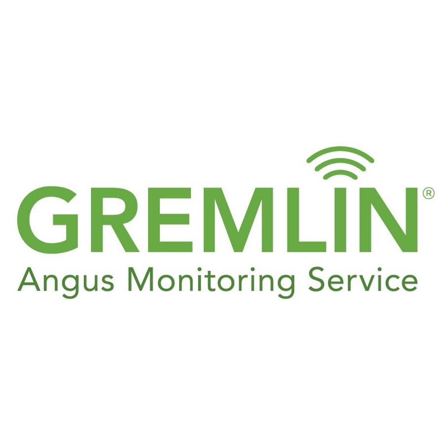 Gremlin Tank Monitors - YouTube