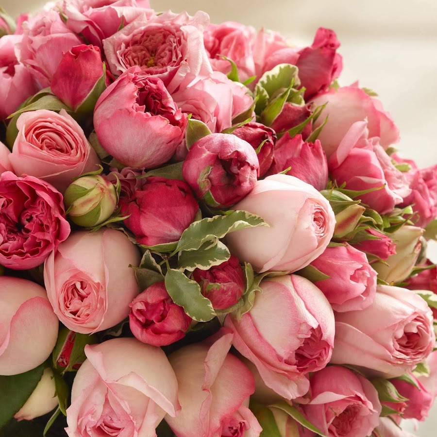 AATXAJwtyUbSDtecP8j7pKA0HDUJRipDb9KQoUZ8