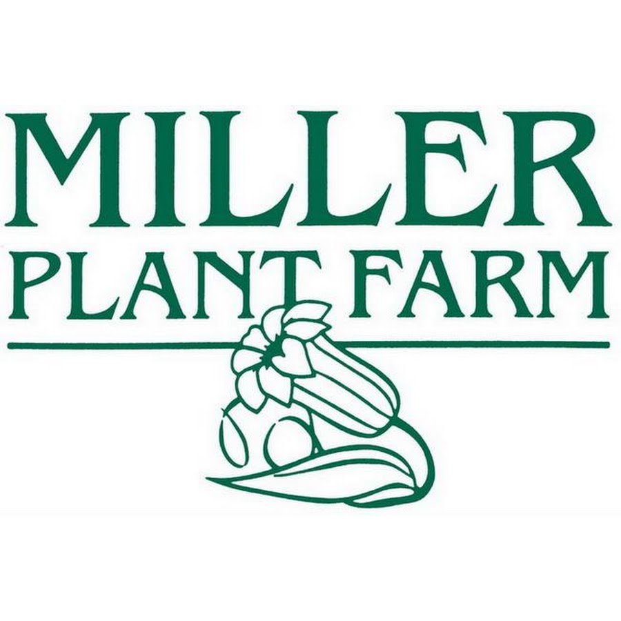 Miller Plant Farm Inc YouTube