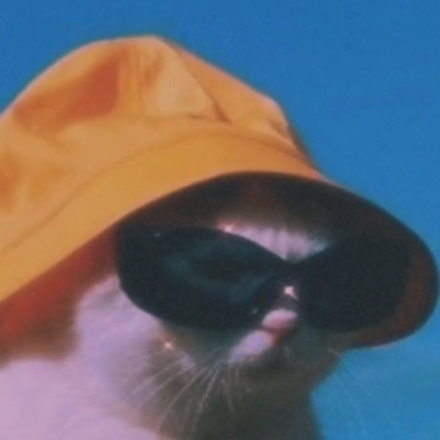 NEONS CAT / НЕОНОВЫЙ КОТ YouTube