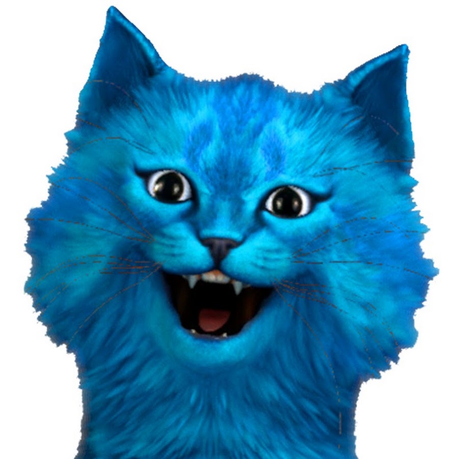Лайка ютубер. Голубой котик. Котенок лайк. Синяя кошка. Котик Игроман.