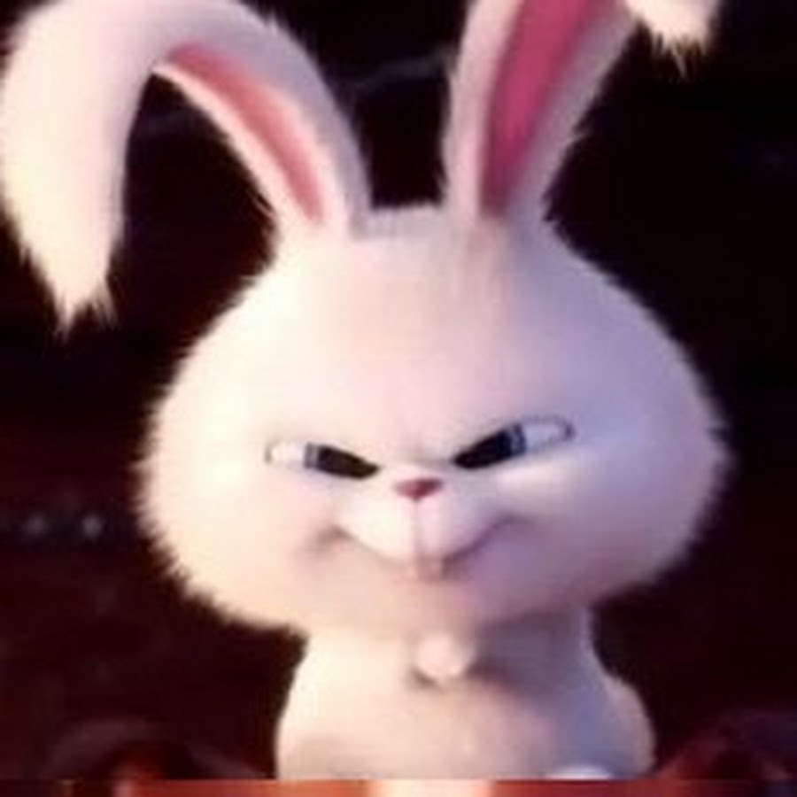 AATXAJwv2sBELc9Ef4g5J2SQdCC-39AzRbip0PinnZ9_=s900-c-k-c0xffffffff-no-rj-mo