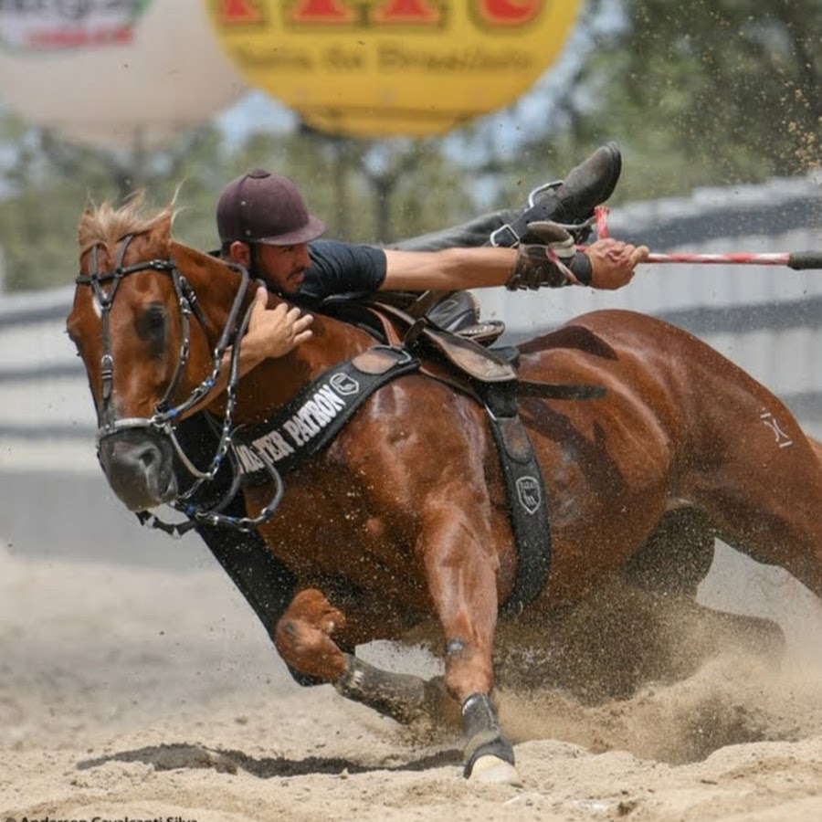 ver detalhes do canal Paixão De Vaquejada*