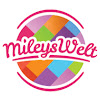 What could MILEYS WELT buy with $1.64 million?