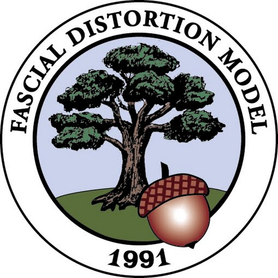 Fdm реабилитация. Фдм массаж. Фдм. Модель фасциальных дисторсий. Fdm терапия.