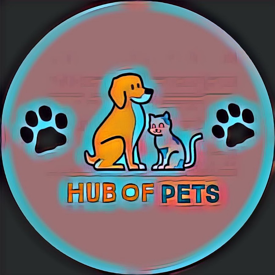 HUB OF PETS YouTube