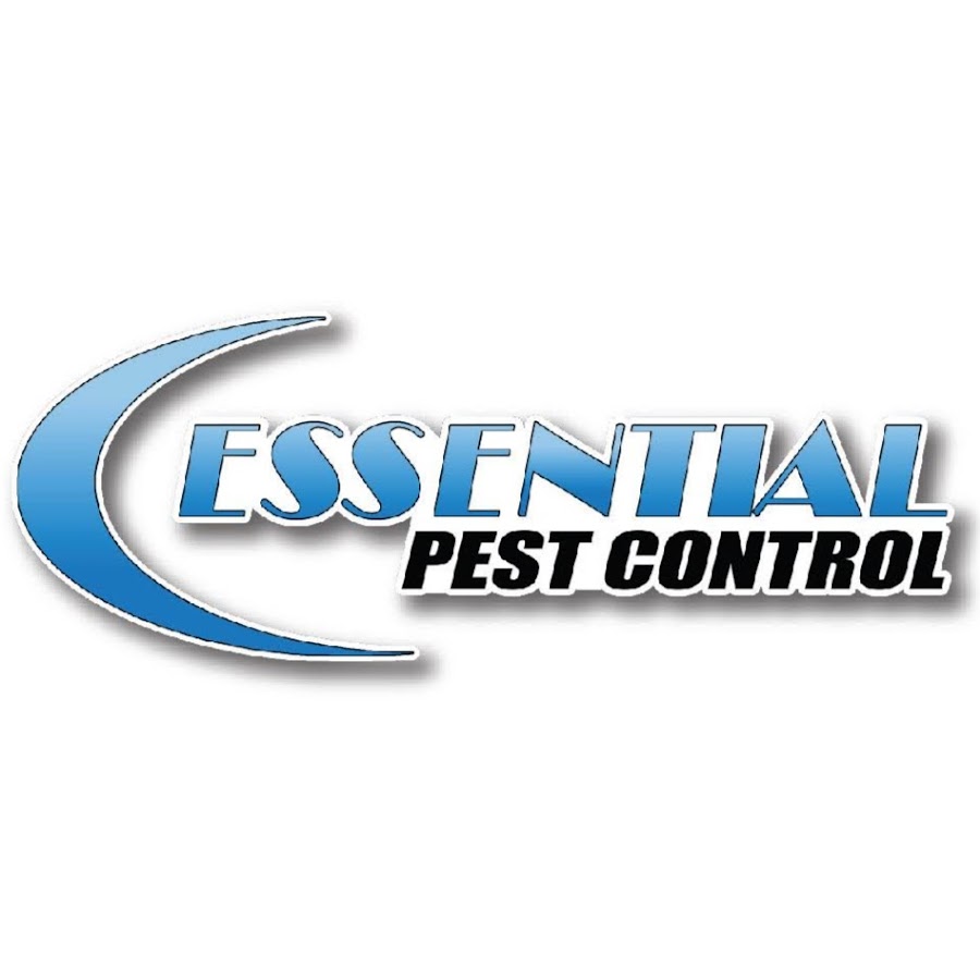Essential Pest Control YouTube
