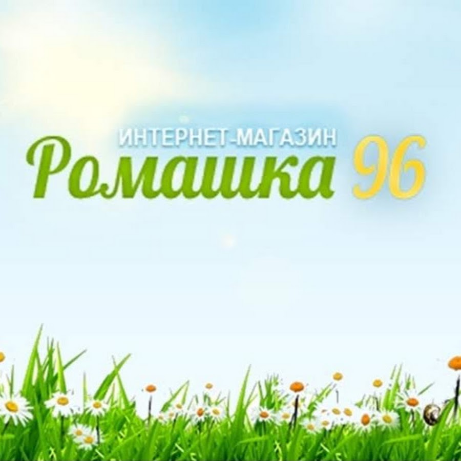Ромашка Интернет Магазин Растений