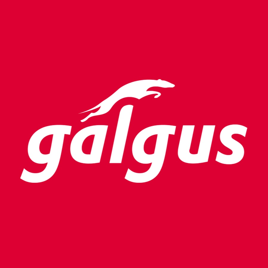 Galgus. Maximizing Wireless Performance - YouTube