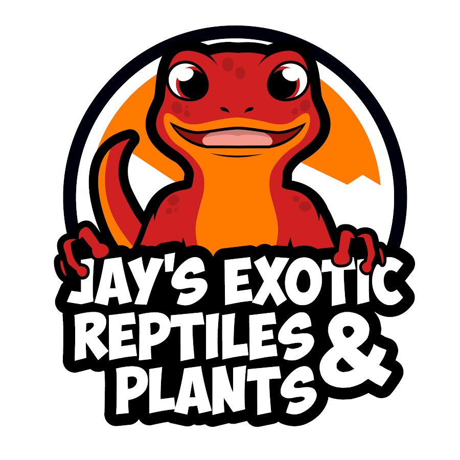 Jay's Exotic Reptiles & Plants 