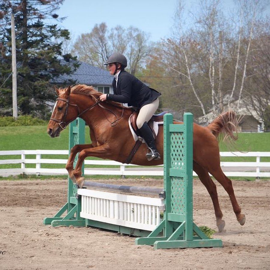 Hunter_Equestrian YouTube