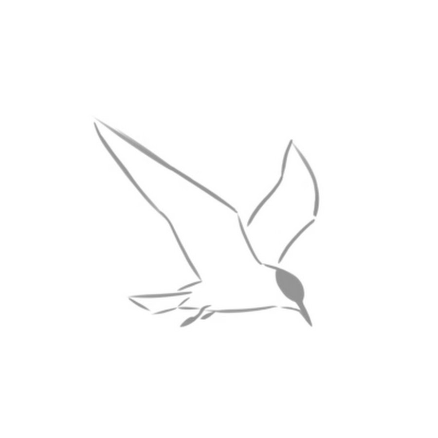 Wingbeats 