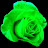 JadeRoseofChaos avatar