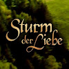 What could Sturm der Liebe buy with $124.43 thousand?