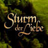 What could Sturm der Liebe buy with $124.4 thousand?