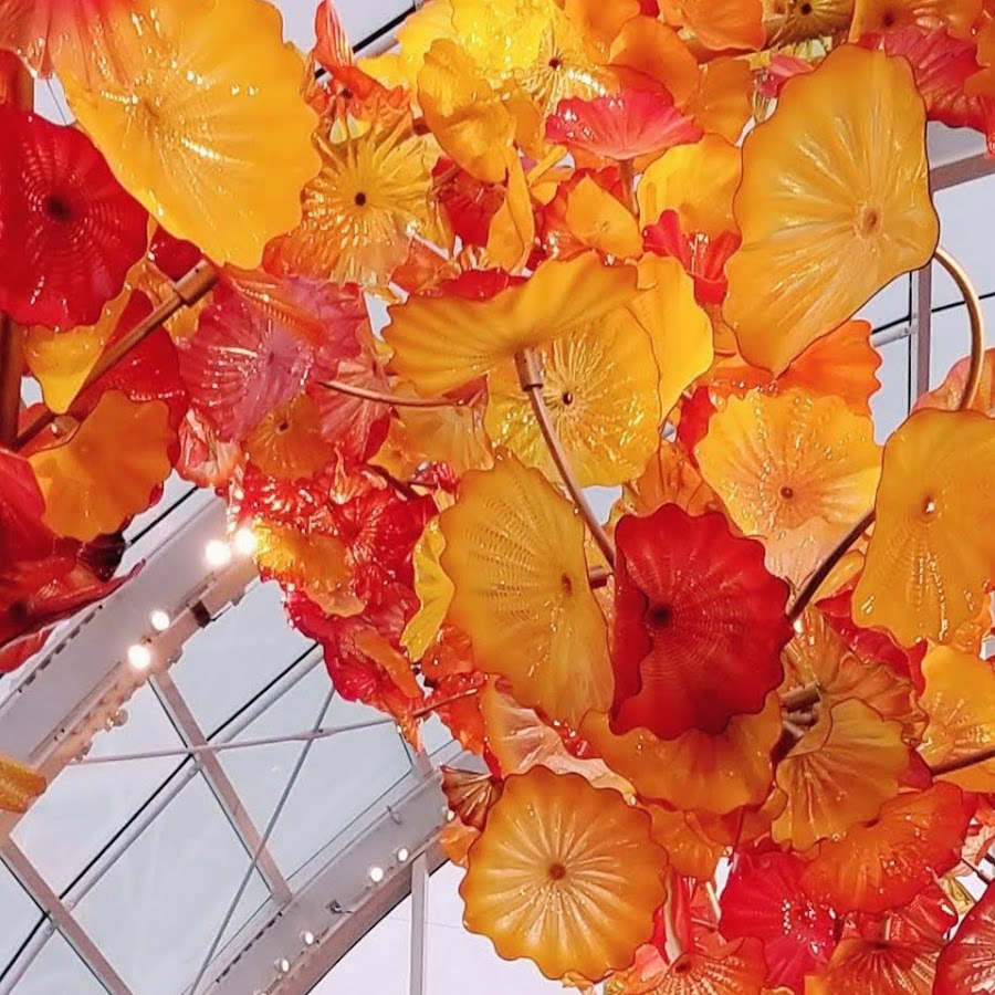 Nazefa Wahedi - YouTube