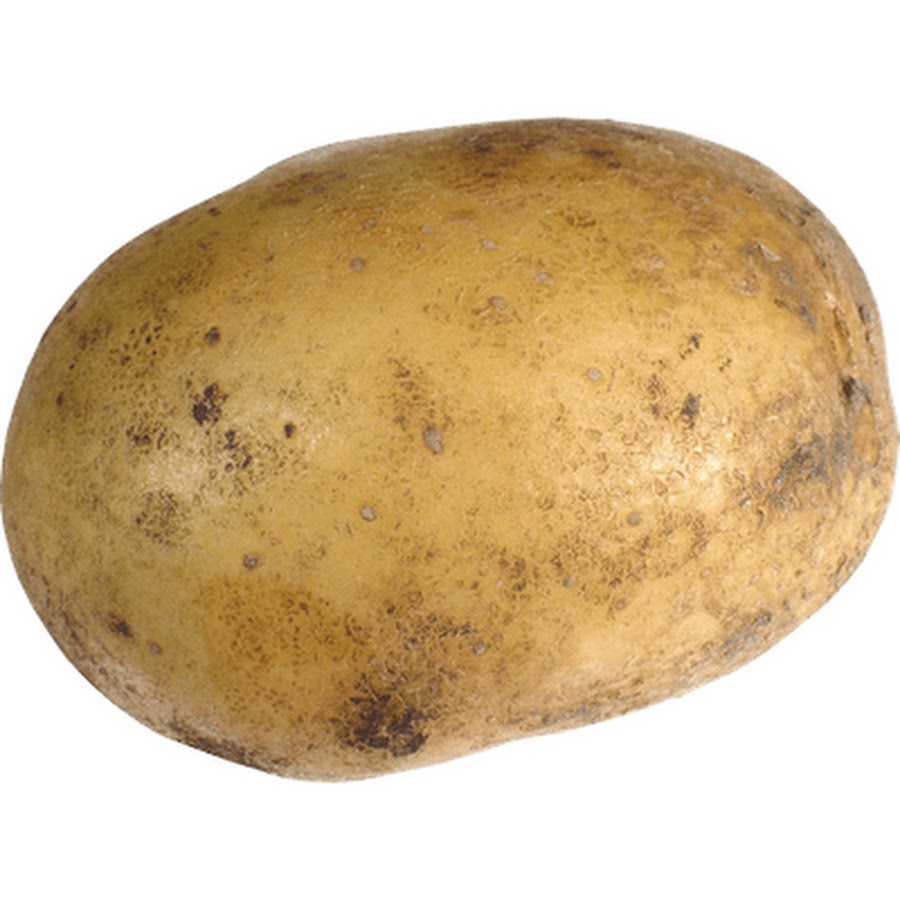 Овощи Картофель Картинки Для Детей – Telegraph