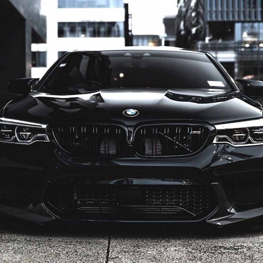 Pyn meaning insurance