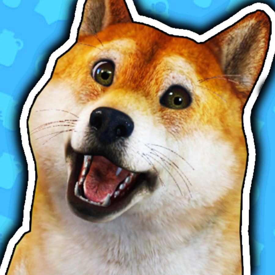 Piesek KiFi - YouTube