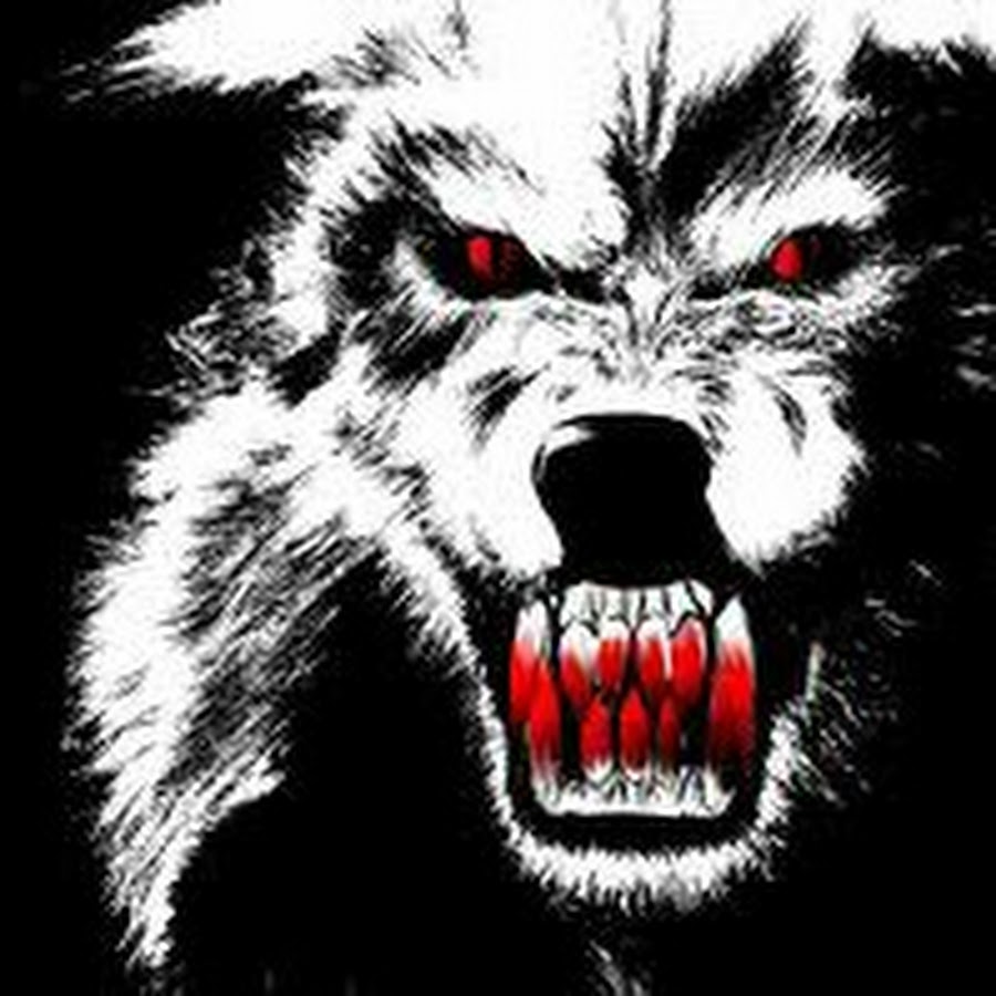 Blood Wolf YouTube