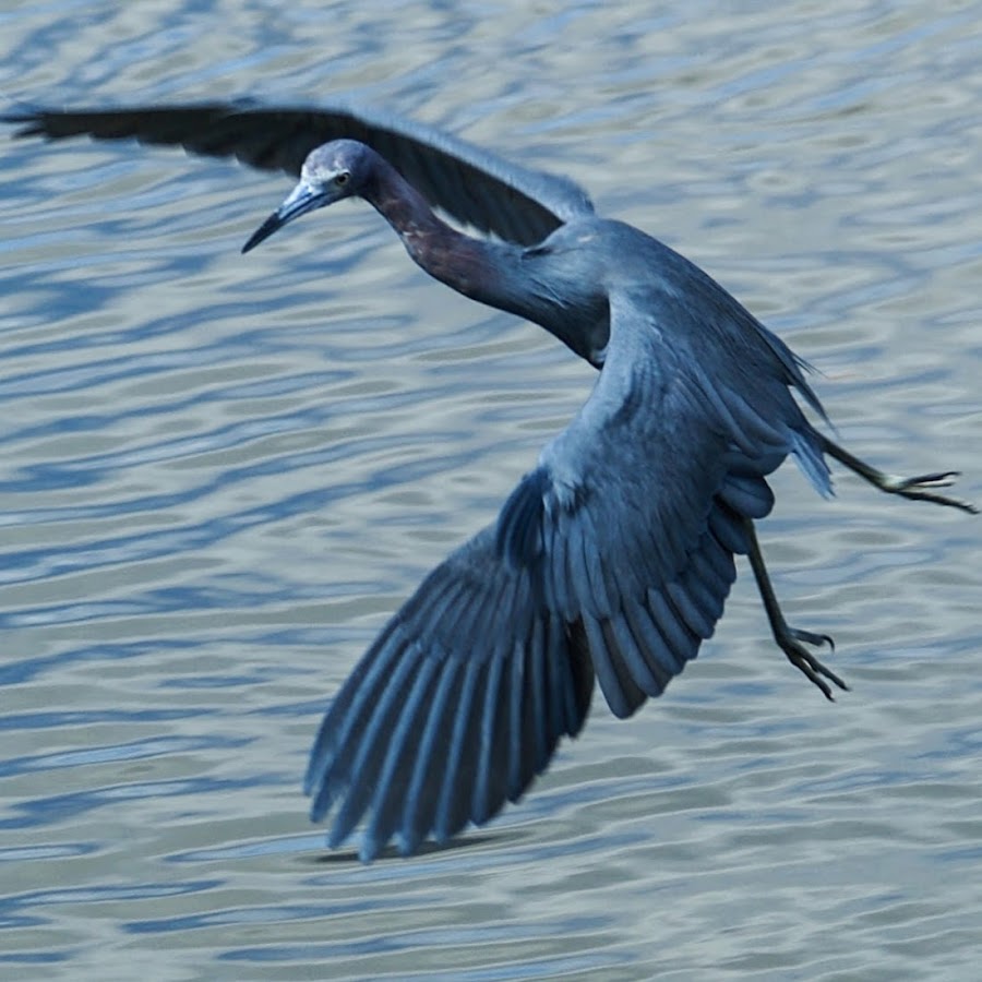 Photos from Florida 