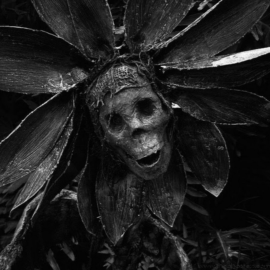 Страшные черно белые картины