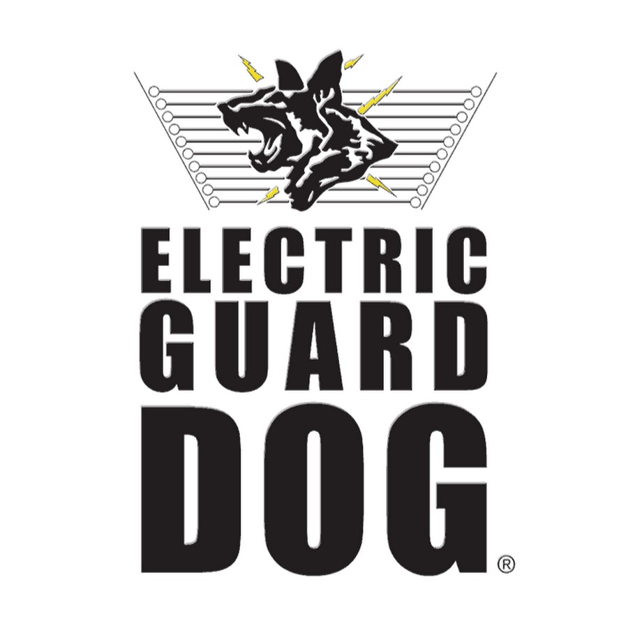 Electric Guard Dog YouTube