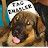 Dog on the Internet avatar