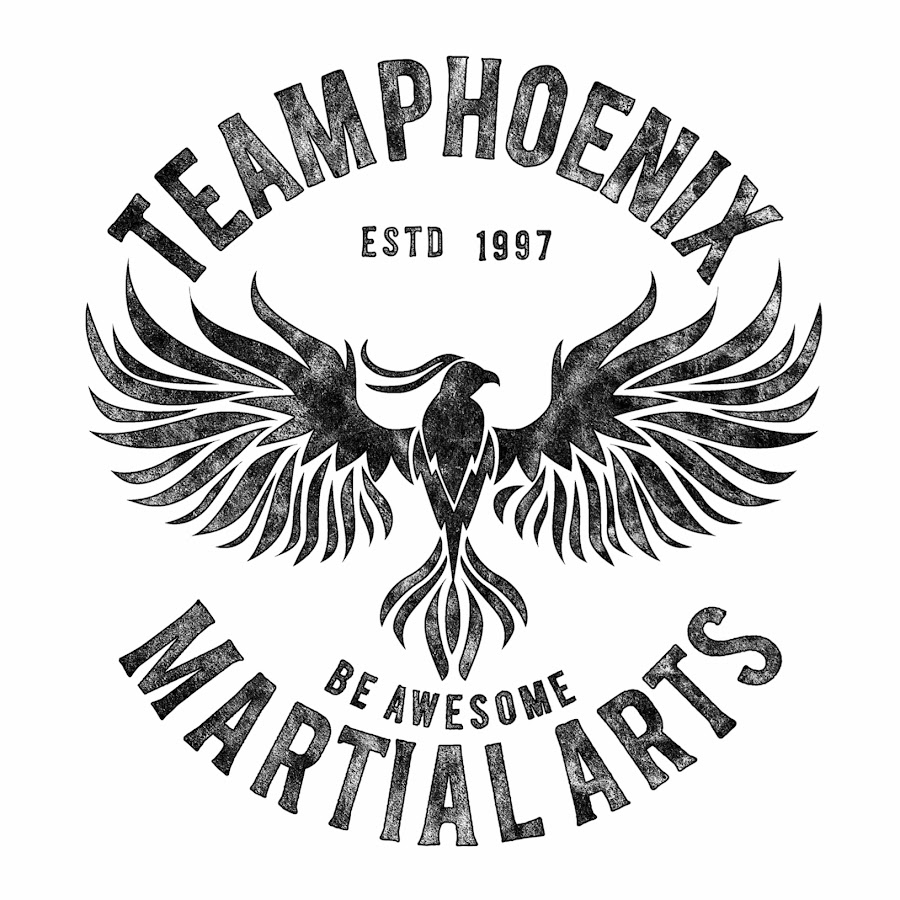 TEAM PHOENIX MARTIAL ARTS - YouTube