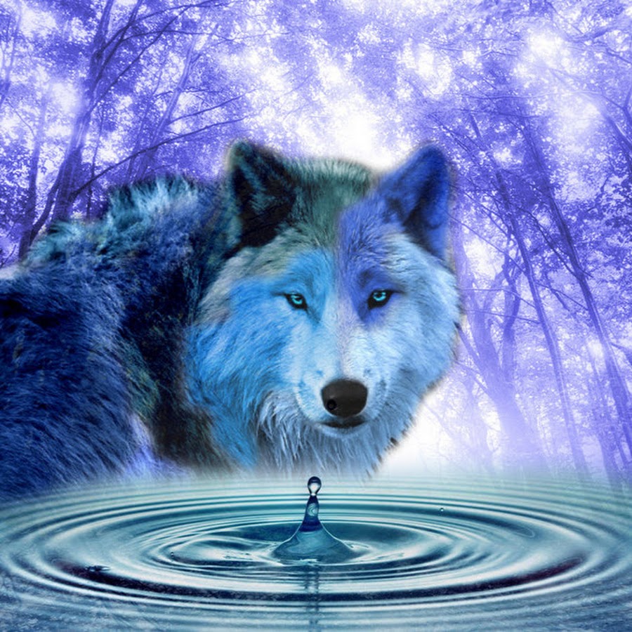 water wolf YouTube