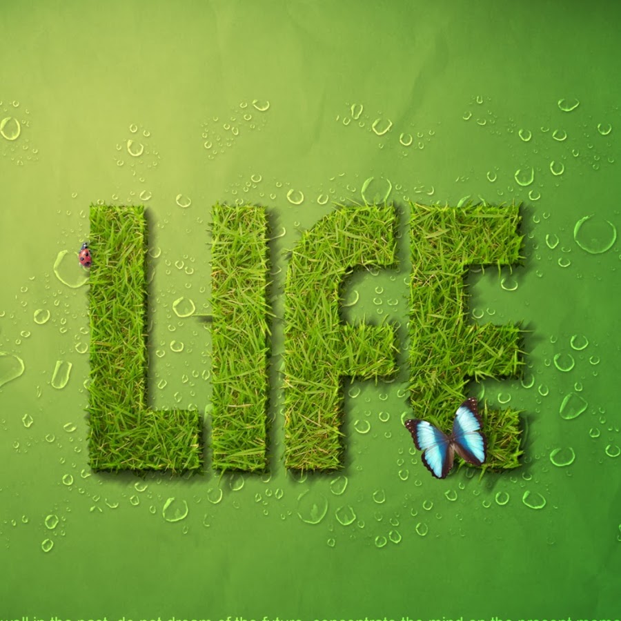 Green Life дизайн. No Green. Life Design.