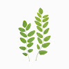Agricultural Nsamat 🌿 نسمات زراعية 