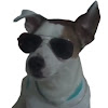 CHUSKY DOG - YouTube