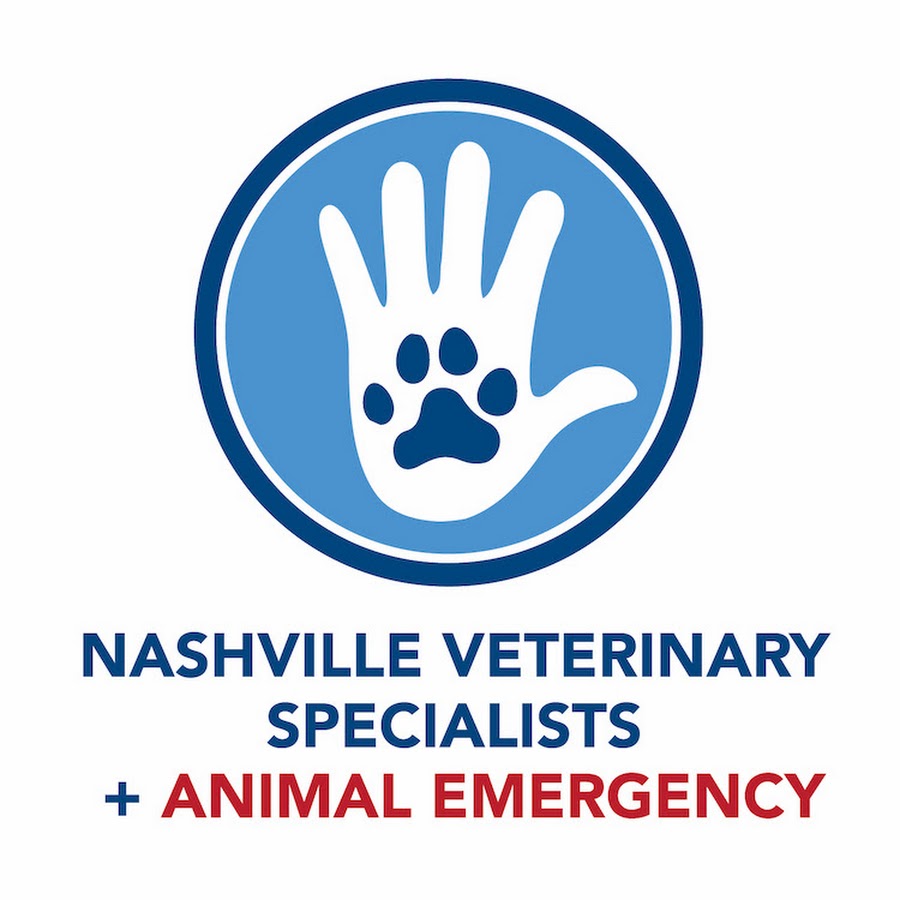 Nashville Veterinary Specialists YouTube