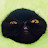 Phoenix Meow Cat Attorney avatar